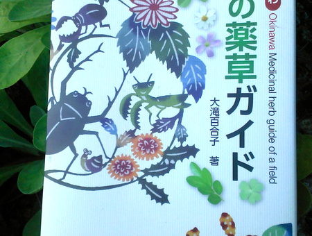 野の薬草ガイド