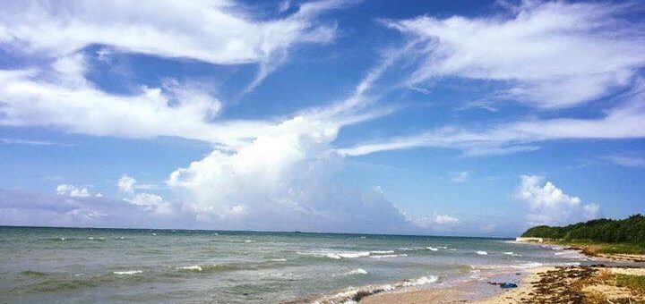 やどかりの夢 アートワークショップ✨海ゴミmoアート！